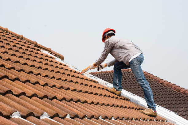 Best Metal Roofing Installation  in , AL